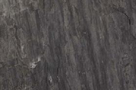 Sagar Black